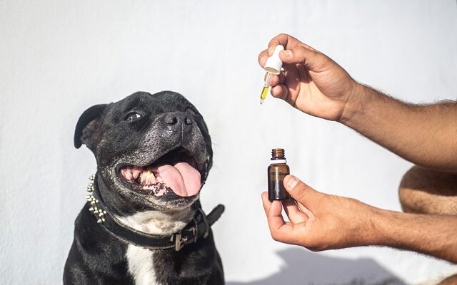 Cbd-öljyn teho – myytit ja faktat vaikutustavoista